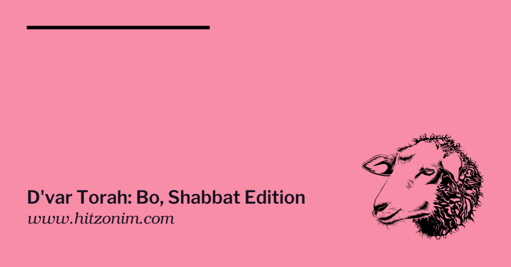 D’var Torah: Bo, Shabbat Edition
